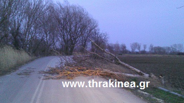 Μέτρα αυτοπροστασίας από θυελλώδεις ανέμους και καταιγίδες