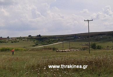 Κτηνοτρόφοι ΑΜΘ: Ο Θεός να προστατεύσει τους κτηνοτρόφους και την ελληνική κτηνοτροφία