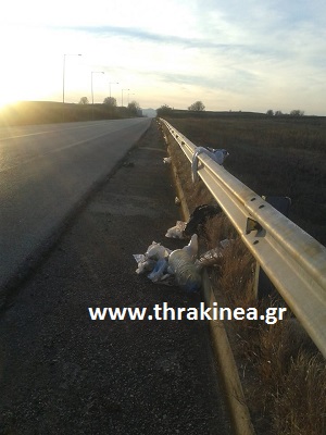 σκουπίδια