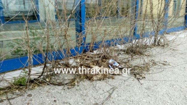 λαθρομεταναστες