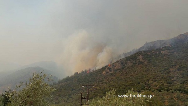 Δύο δασικές πυρκαγιές στον Έβρο την Πέμπτη