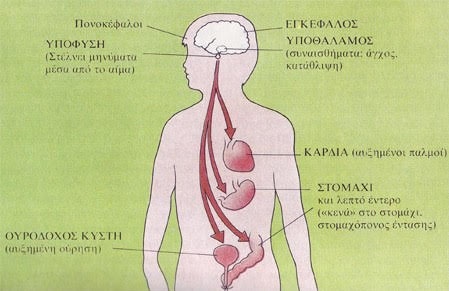 άνθρωπος