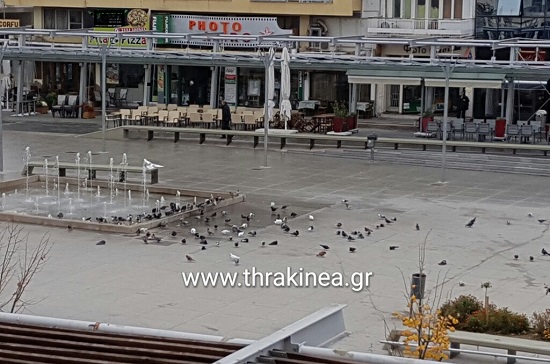 περιστέρια