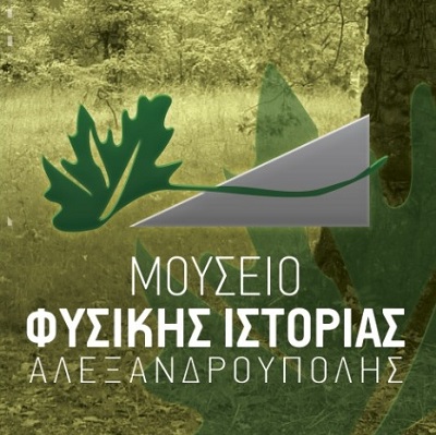Εκπαιδευτικό πρόγραμμα «Υγρότοπος, ένας τόπος μαγικός» στο μουσείο φυσικής ιστορίας Αλεξανδρούπολης