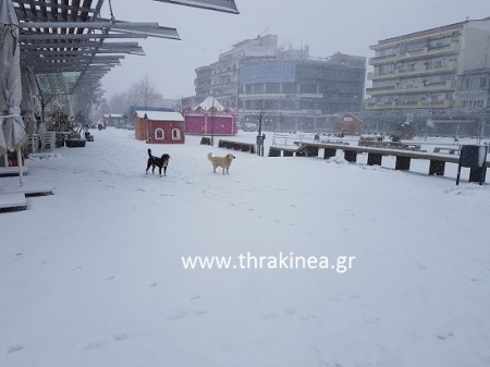 χιόνι