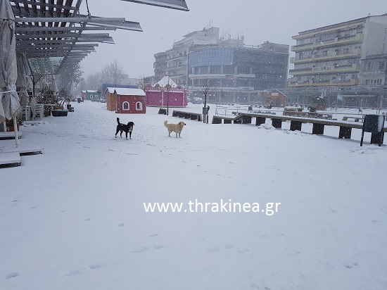 χιόνι