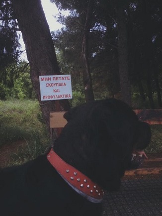 προφυλακτικά