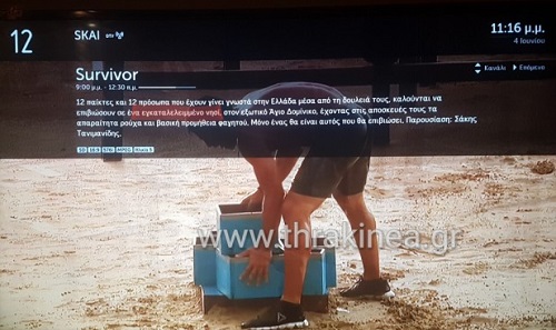 survivor