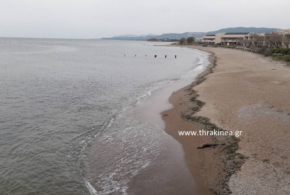 Ψόφιο δελφίνι ξεβράστηκε στη στροφή Εγνατία