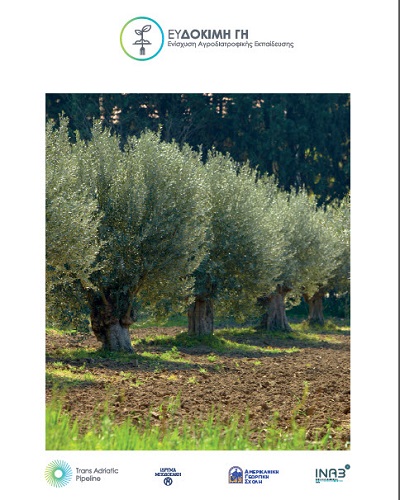 Thriving Land brochure - GR