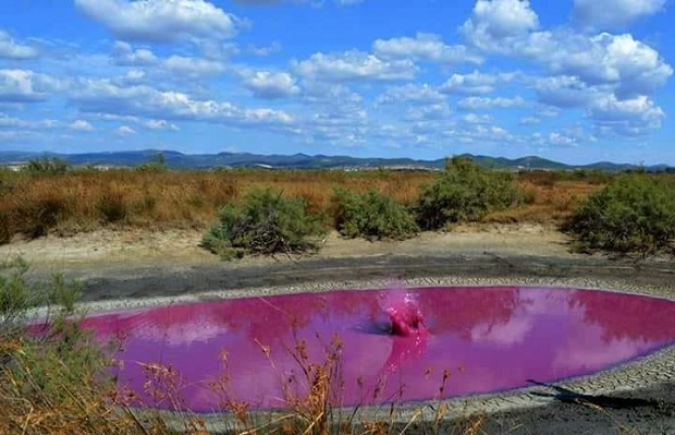 Η ροζ λίμνη του Έβρου!