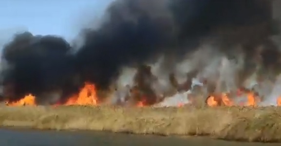 Φωτιά στο Δέλτα του Έβρου – Βίντεο μία ανάσα από τις φλόγες