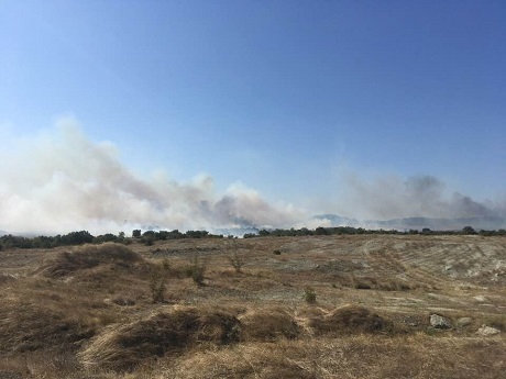 Έρευνες για εμπρησμούς στην περιοχή των Φερών