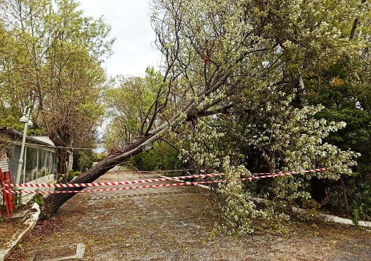 Η κακοκαιρία χτυπάει την Αλεξανδρούπολη