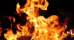 Νέα φωτιά σε κομπίνα στο βόρειο τμήμα του Έβρου
