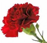 Εκδήλωση για την απελευθέρωση του Διδυμοτείχου Εκδήλωση για την απελευθέρωση του Διδυμοτείχου