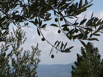 Θέσεις εργασίας στον Έβρο