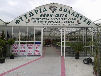 Πανδαισία χρωμάτων