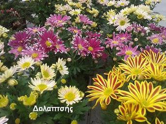 Σε μας θα βρεις, αυτό που ψάχνεις