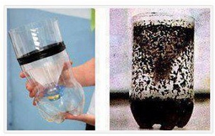 Φτιάξτε παγίδα για κουνούπια, απλά και φθηνά……