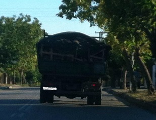 Ορεστιάδα: Έπιασαν Βούλγαρο που πούλαγε καυσόξυλα με τον τόνο