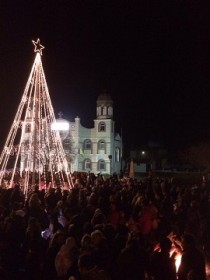 Άναψε το χριστουγεννιάτικο δέντρο στο Θούριο Άναψε το χριστουγεννιάτικο δέντρο στο Θούριο