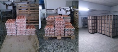 52.000 αβγά κατασχέθηκαν στον Έβρο 52.000 αβγά κατασχέθηκαν στον Έβρο