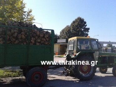 Ο.Α.Σ.Ε – Με ρυθμούς χελώνας συγκομίζονται τα τεύτλα Ο.Α.Σ.Ε – Με ρυθμούς χελώνας συγκομίζονται τα τεύτλα
