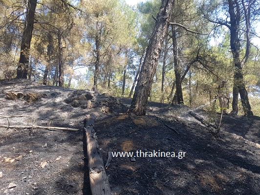 Η άμεση παρέμβαση και οι καιρικές συνθήκες δεν επέτρεψαν στη φωτιά να επεκταθεί