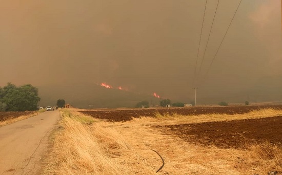 Πυρκαγιά σε κομπίνα στην Φτελιά