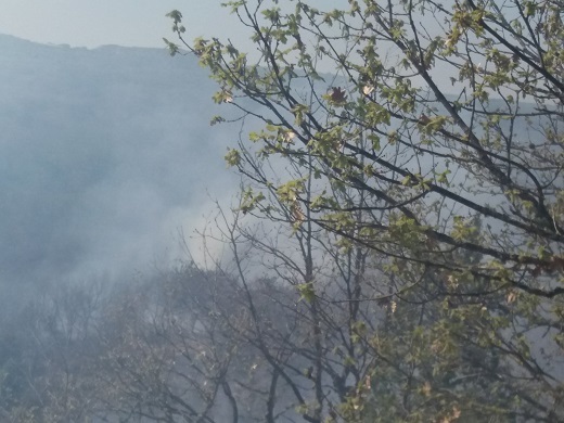 Μεγάλη φωτιά στη Βουλγαρία κοντα στα ελληνοβουλγαρικά σύνορα