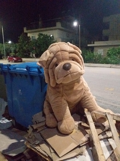 Αυτό το κουτάβι είναι έτοιμο για υιοθεσία