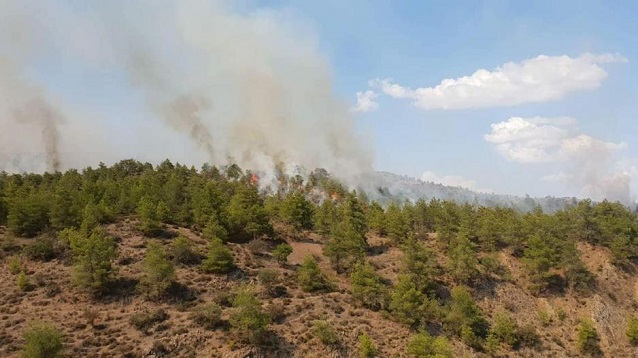 Έβρος: Πολύ υψηλός κίνδυνος πυρκαγιάς (κατηγορία κινδύνου 4) για αύριο Πέμπτη