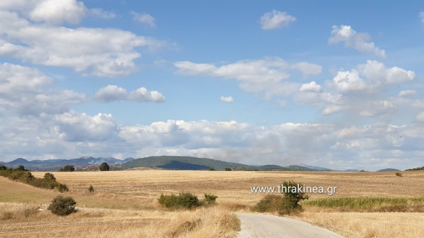 Το WWF Ελλάς για τη μεγάλη δασική φωτιά στη Λευκίμμη – Απαντήσεις για το πως ξεκίνησε η φωτιά