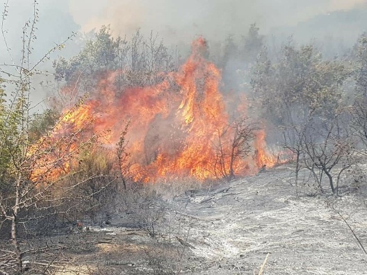 Τέλος καλό με δασική πυρκαγιά στην Αισύμη