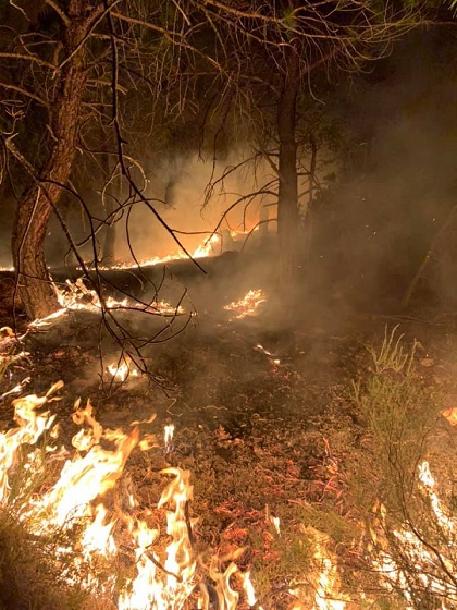 Σπέρνει την καταστροφή η φωτιά στη Λευκίμμη