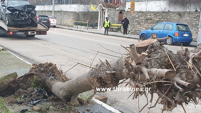 Αυτοκίνητο έπεσε σε δέντρο μπροστά από σχολείο