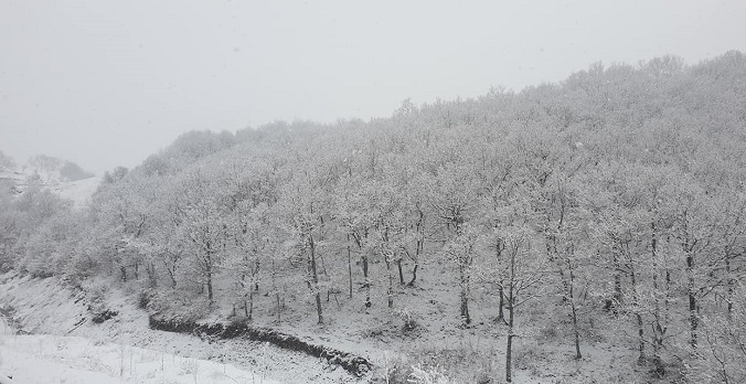 Όχι μόνο χιόνισε, αλλά βγήκαν και τα εκχιονιστικά!