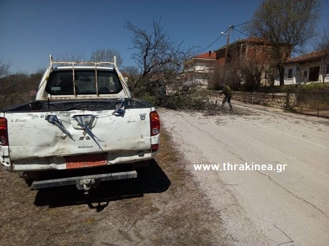 Αποκλείστηκε η πρόσβαση στη Λάδη λόγω πτώσης δέντρου – Καθάρισε ο πρόεδρος