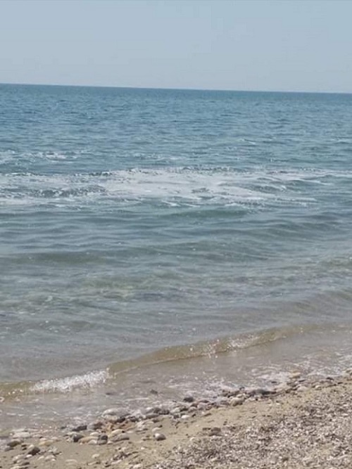Πρέπει να μας ανησυχούν οι αφροί που εμφανίζονται στη θάλασσα στη Θράκη;