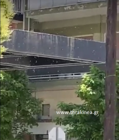 Τώρα: Με μέλισσες γέμισε γωνία στο κέντρο της Ορεστιάδας