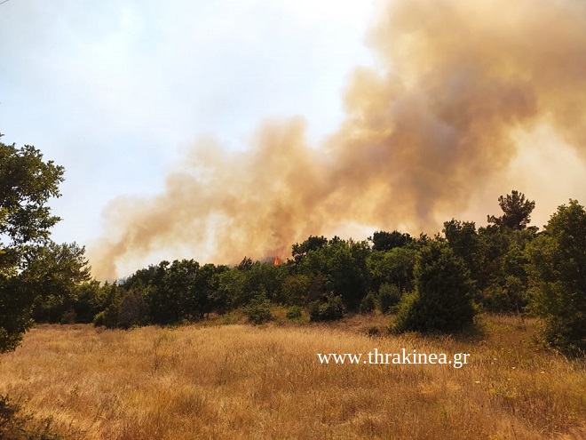 Βίντεο: Στα σπίτια της Κοτρωνιάς οι φλόγες