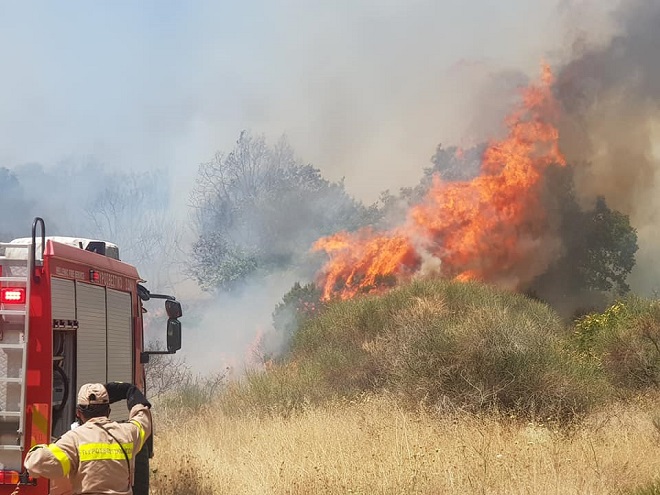 Αυτοκίνητο με άγνωστους επιβάτες . . . πάνω στο βουνό κάηκε και έπιασε φωτιά και το δάσος