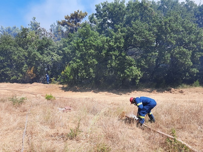 Υπό έλεγχο δασική πυρκαγιά στη Λυκόφη (Δάσος Δαδιάς)