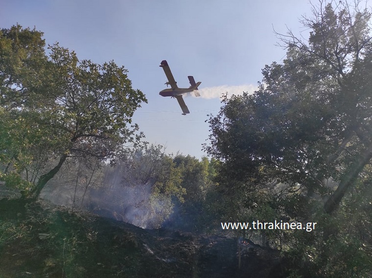 Πως ξεκίνησε η πυρκαγιά στην Κοτρωνιά – Ελπιδοφόρα τα μηνυματα για τη νύχτα