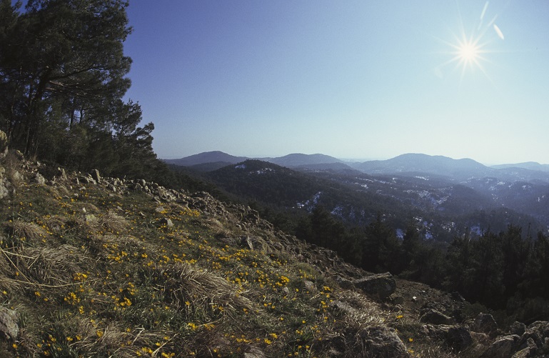 WWF 30 χρόνια στη Δαδιά: Μια διαδρομή αφιερωμένη στην προστασία σημαντικών οικοτόπων και ειδών στην περιοχή της Θράκης