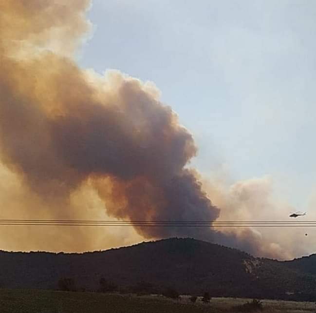 Και νέα αύξηση του αριθμού των πυροσβεστών που επιχειρούν στη φωτιά της Δαδιάς