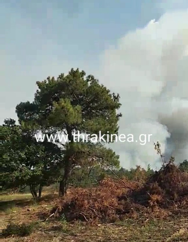 Βίντεο μέσα από τις φλόγες αποτυπώνει τις δυσκολίες κατάσβεσης