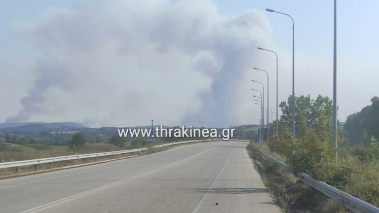 Διαγραφή οφειλών, φόρων και αναστολή δανείων ζητάει για τη στήριξη επιχειρήσεων που πλήττονται από τη φωτιά στη Δαδιά ζητάει ο Χριστόδουλος Τοψίδης