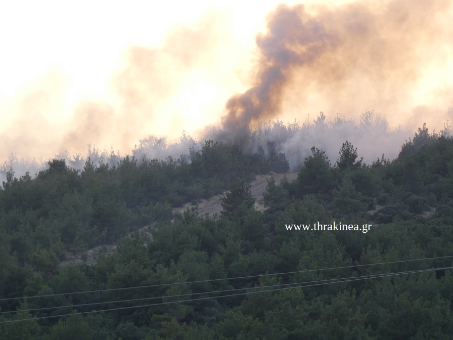 Όταν τη φωτιά δεν την σταματούν ούτε οι αντιπυρικές. . .